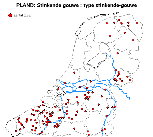 stinkende-gouwe